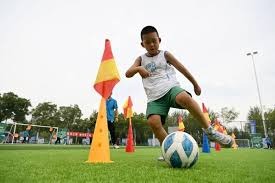 中国棒球联赛观赛氛围持续升温