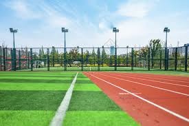 古蒂：哈维-阿隆索是安切洛蒂的接替者，皇马会